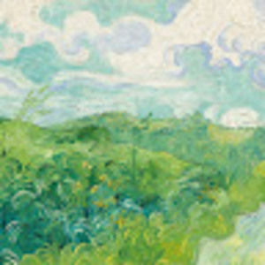 Meet your Posher, Molly